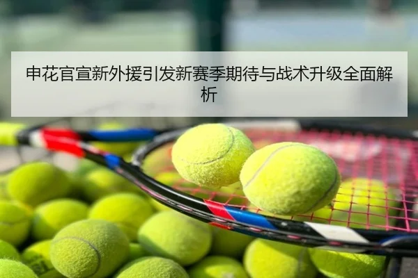 申花官宣新外援引发新赛季期待与战术升级全面解析