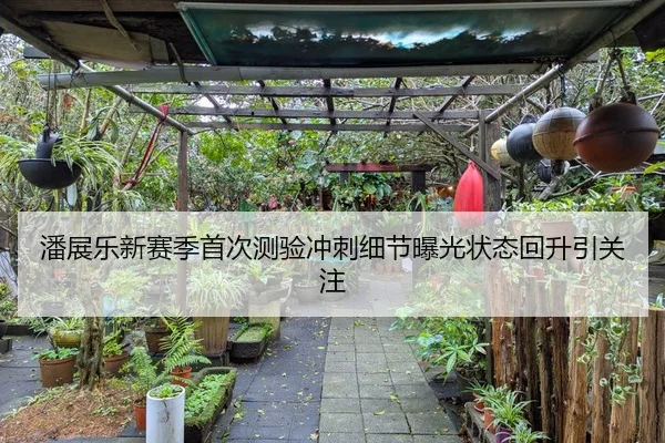 潘展乐新赛季首次测验冲刺细节曝光状态回升引关注