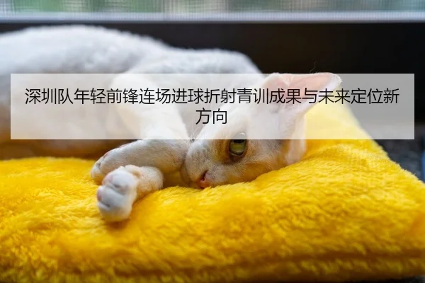 深圳队年轻前锋连场进球折射青训成果与未来定位新方向